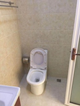 【塞纳春天装饰在线看工地】华明镇紫园竣工验收